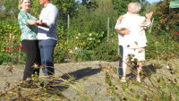 Festyn parafialno-dożynkowy - 22.09.2024