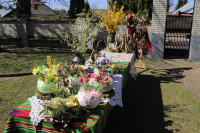 NIEDZIELA PALMOWA  - 13.04.2025