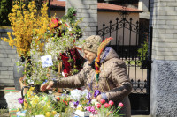 NIEDZIELA PALMOWA  - 13.04.2025