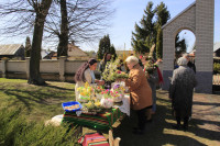 NIEDZIELA PALMOWA  - 13.04.2025