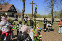 NIEDZIELA PALMOWA  - 13.04.2025