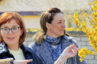 NIEDZIELA PALMOWA  - 13.04.2025