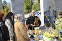 NIEDZIELA PALMOWA  - 13.04.2025