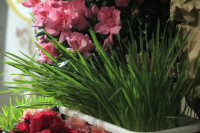 WIGILIA PASCHALNA - 19.04.2025