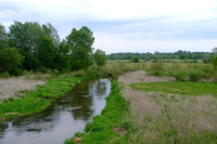 POŚWIĘCENIE PÓL w NEPLACH - 16.05.2026